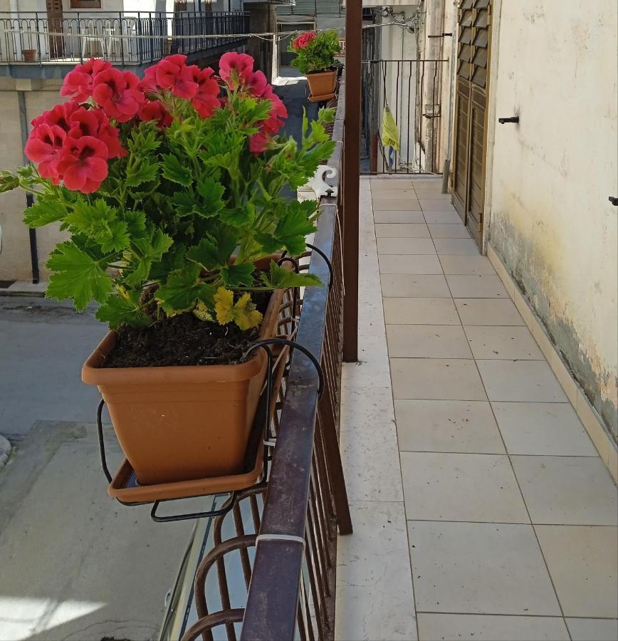 B&B La Casa Dell'Ospite Gravina in Puglia Buitenkant foto